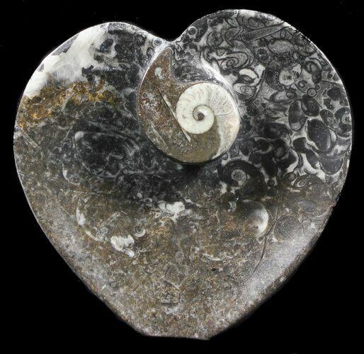 Heart Shaped Fossil Goniatite Dish #39354